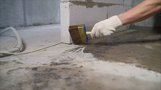 Top rated local Wet Basement Repair specialists in Vandalia, OH